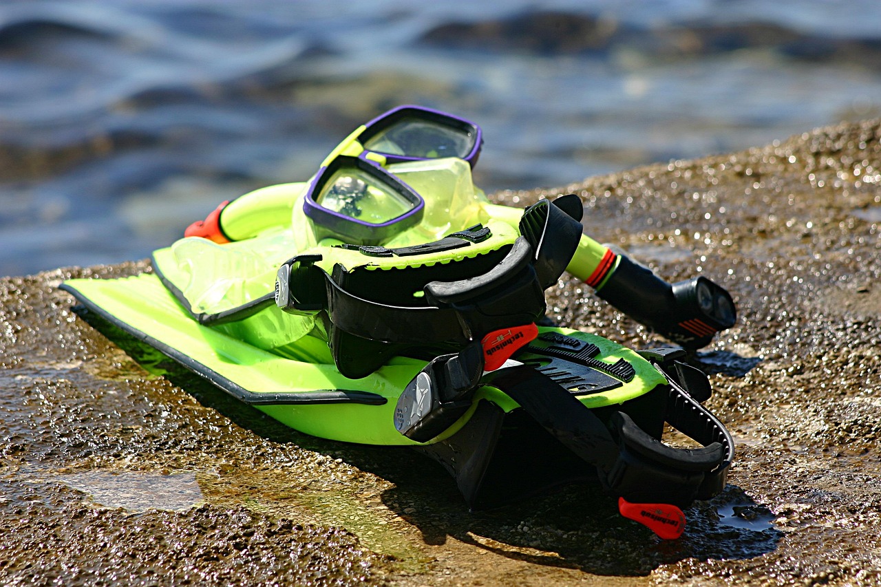 snorkle, dive, explore, mask, nature, flippers, gear, water sports, swim, summer, green, colorful, set, underwater, snorkeling, sea