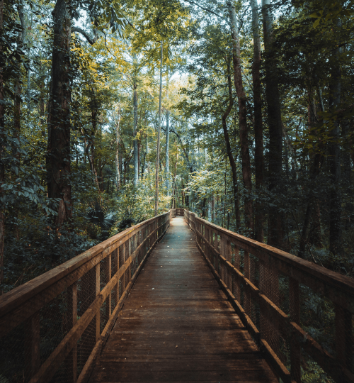 The Gulf Blogs hike 5